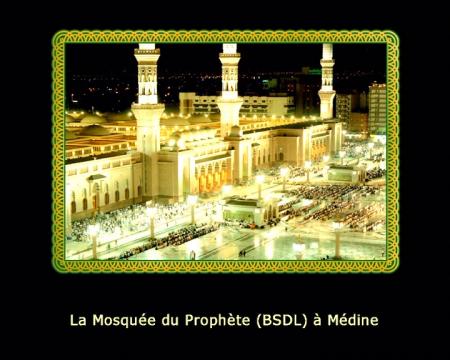 tout beau